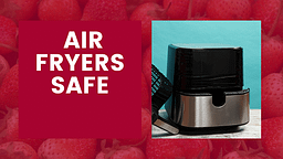 Air Fryers Safe
