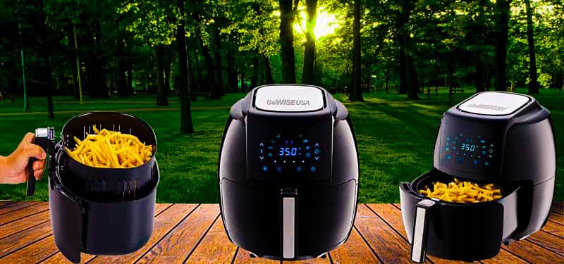 GoWise Air Fryer reviews